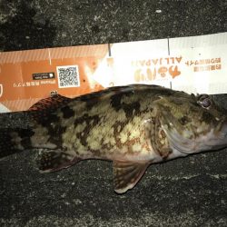 暴風でもガッシー！