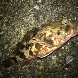 雷雲の間にガッシー！