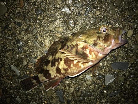 雷雲の間にガッシー！