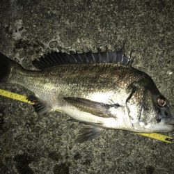 フカセチヌナイト