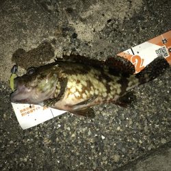 帰ってきたガッシー