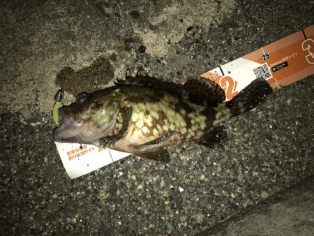 帰ってきたガッシー