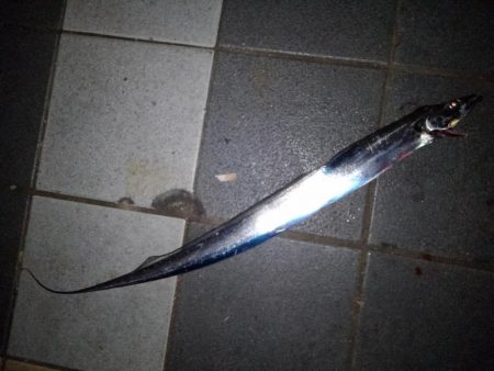 久しぶりのタチウオ釣行