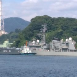 キス釣りでチヌ2