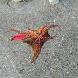 僕の夏休み(パート1)