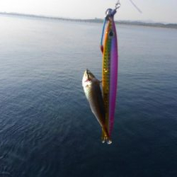 暑さにも負けず‼