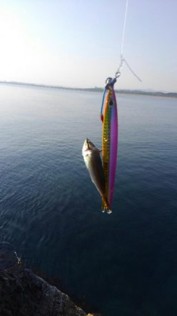 暑さにも負けず‼