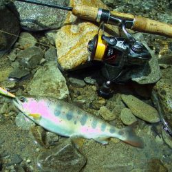 渓流ミノーイング 増水の渓