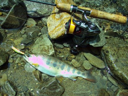 渓流ミノーイング 増水の渓