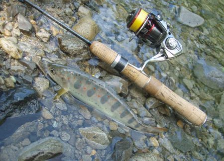 渓流ミノーイング