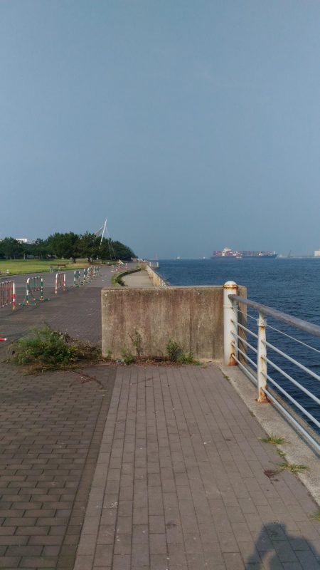 アジが居ない！