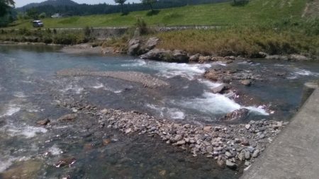 上桂川山国地区潜没橋での友釣り