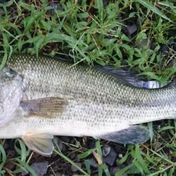 増水してももカバー奥にピッタリ