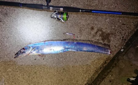 予想より大きいやつがキター