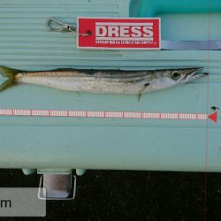 白浜温泉シーモア宿泊