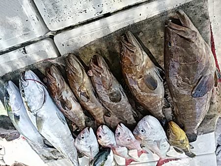 大物釣果速報！●光義丸：平戸市早福港