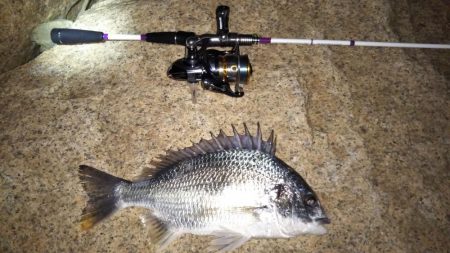 震災後の淀川調査