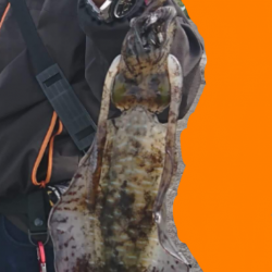 大雨特別警報後の