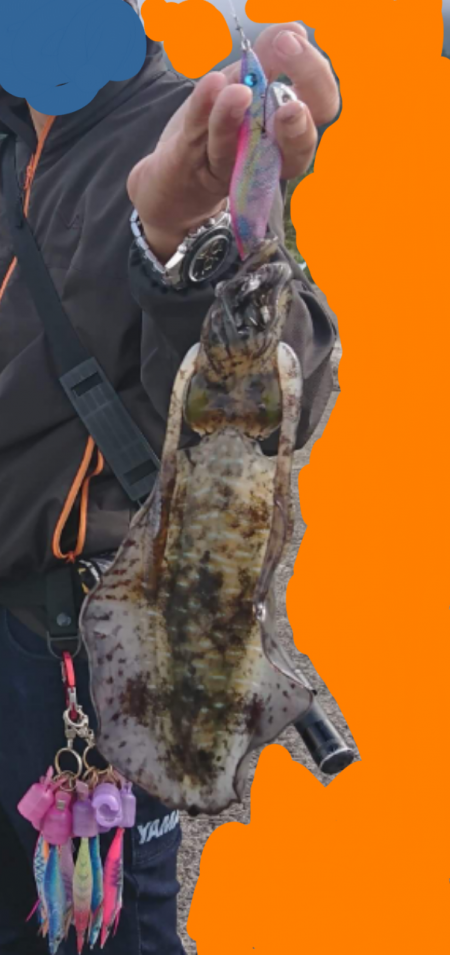 大雨特別警報後の