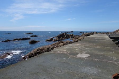 今期初コロダイです