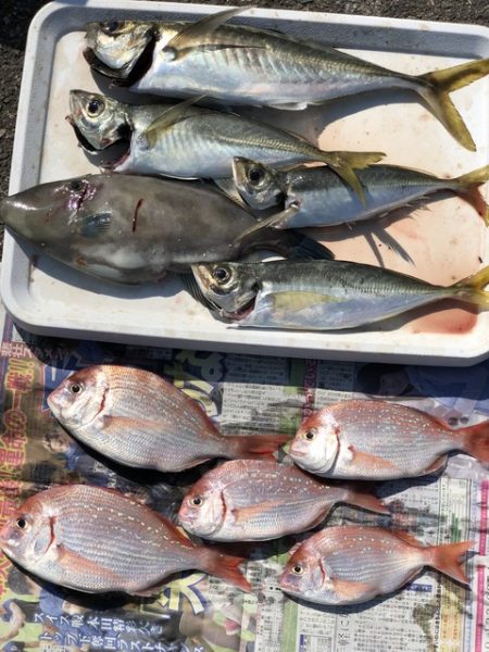 第二辰丸 釣果