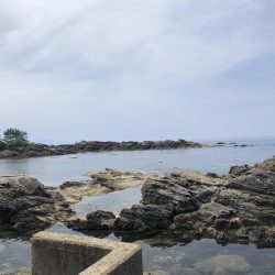 イカこない。小さめのアジが沢山！