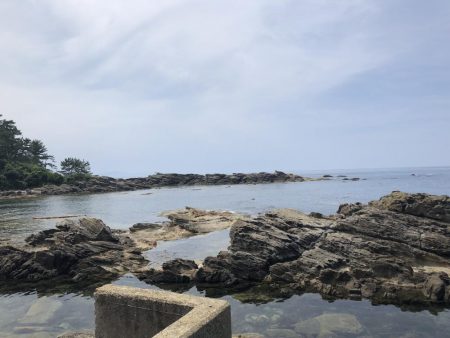 イカこない。小さめのアジが沢山！