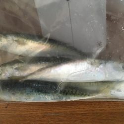 和田島T字でキス