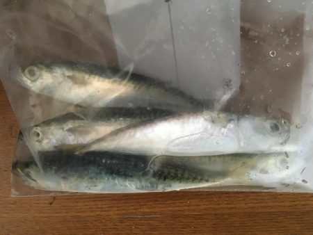 和田島T字でキス