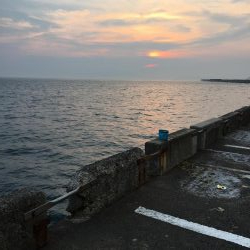 何か釣れないかと