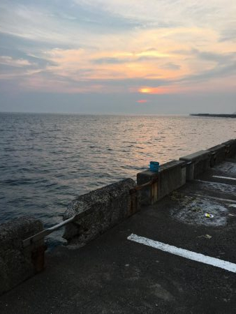 何か釣れないかと