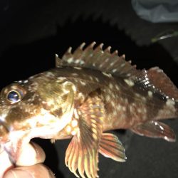 ヤオッチごめんね!