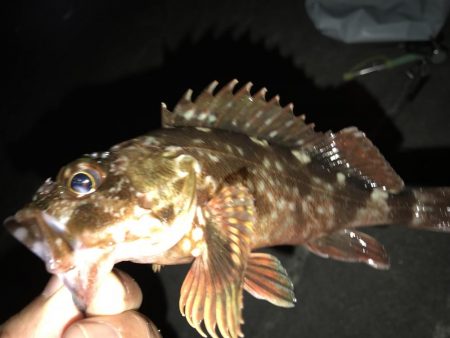 ヤオッチごめんね！