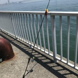 釣れたけど、、、