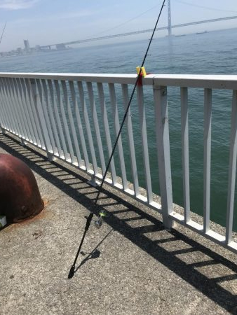 釣れたけど、、、