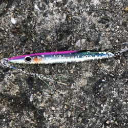 初心者ショアジギでサゴシ2本！