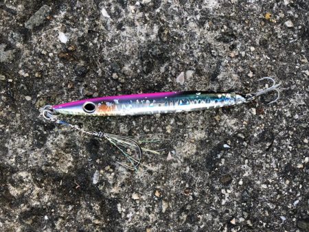 初心者ショアジギでサゴシ2本！