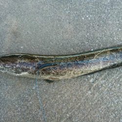 まさかここで‼