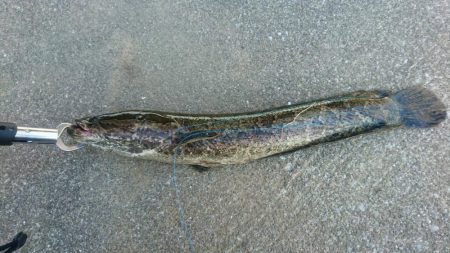 まさかここで‼