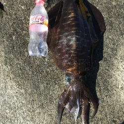 暑いのに、行ってきました。