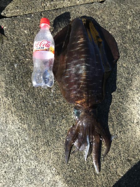 暑いのに、行ってきました。