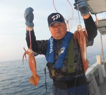 スルメイカ釣り