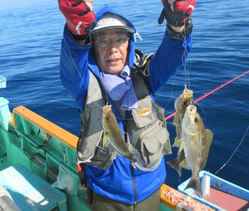 イサキ釣ってきました