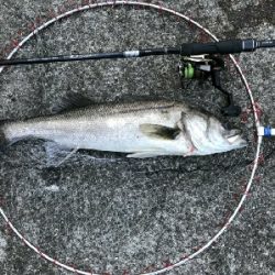 暑い❗とにかく暑い❗