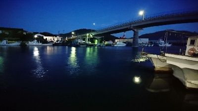 大漁の鯵かと思ったら