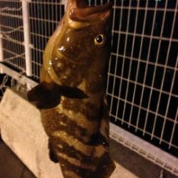 台風の後は釣れるのか？