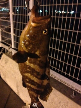 台風の後は釣れるのか？