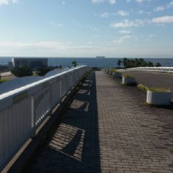 暑いよー、ショアジギングだよー