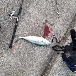 ふらっとショアジギング