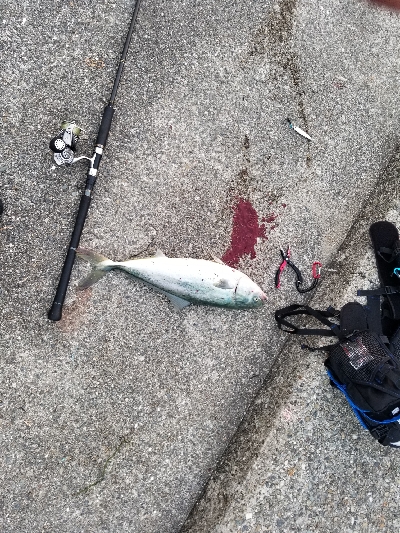 ふらっとショアジギング
